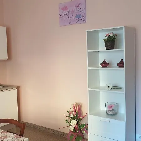 Caccia Apartament *