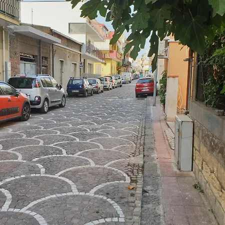 Caccia